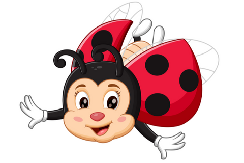 LADYBUGS